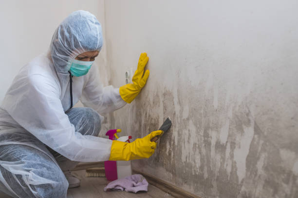 Crawl Space Mold Removal in East Kapolei, HI