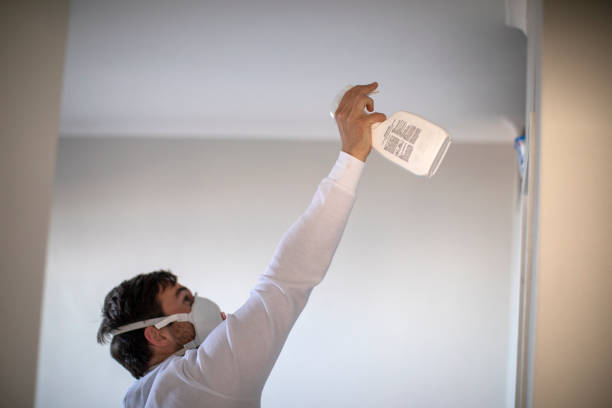 Best Fast Mold Removal  in East Kapolei, HI